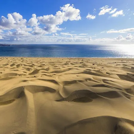 Aloe Freedom Maspalomas