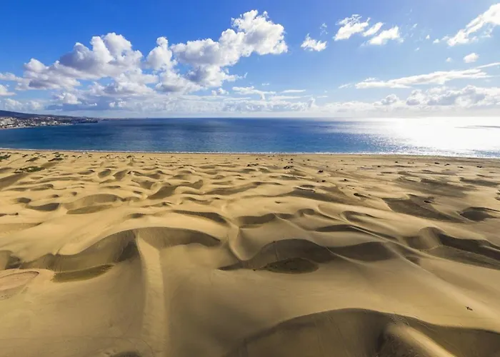 Aloe Freedom Maspalomas